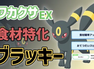 【可能性】ブラッキーに役割を与えたい...ワカクサEXで食材特化！【ポケスリ】