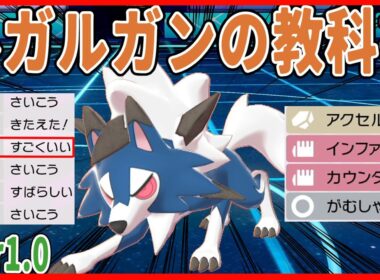 ルガルガン使いによる、ルガルガンの教科書Ver.1.0【ポケモン剣盾】