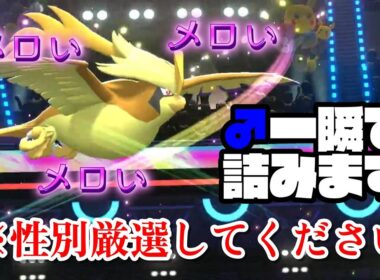 【注意】オスのポケモンは使わないでください。メガピジョットで詰みます。【ポケモンチャンピオンズ】