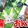 リオル孵化の日準備おk？色違いXXL爆誕！？ガラルサニーゴの色違いは…？！スナヘビは…？！【ポケモンGO】