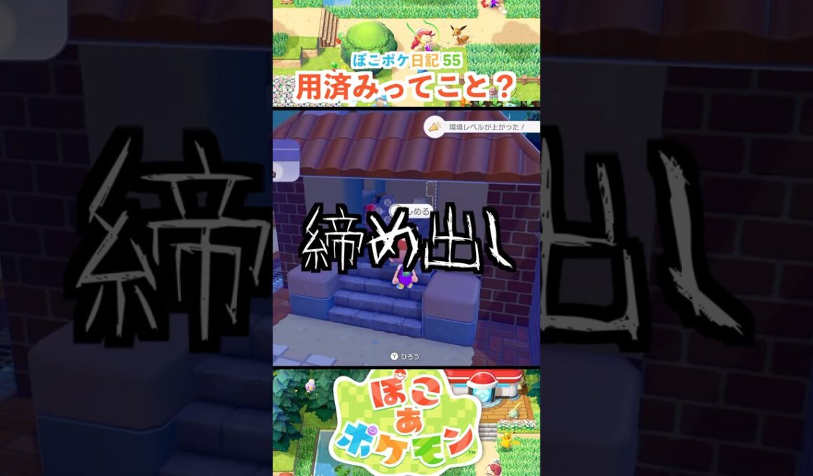 【ぽこあポケモン】ゾロアのお願い叶えましょう