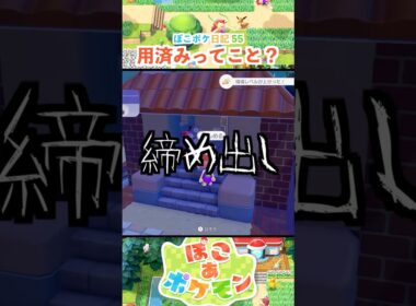 【ぽこあポケモン】ゾロアのお願い叶えましょう
