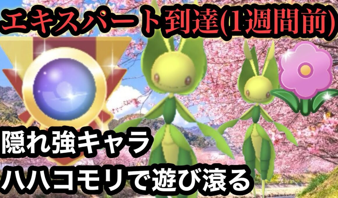 GBL 春カップ〈ハハコモリ〉エキスパート到達後のハハコモリ遊びが1番生を実感する【ポケモンGO】