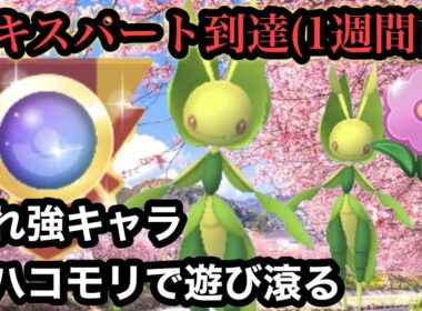 GBL 春カップ〈ハハコモリ〉エキスパート到達後のハハコモリ遊びが1番生を実感する【ポケモンGO】