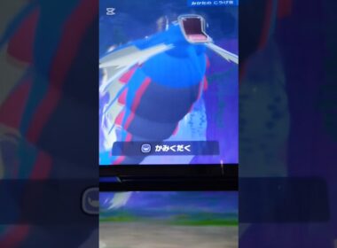 【ポケモンフレンダ ベストタッグ1弾】ポケエネ驚異の316！！メガギャラドスが強い！#ポケモン#ポケモンフレンダ #ベストタッグ1弾 #スーパートレジャー