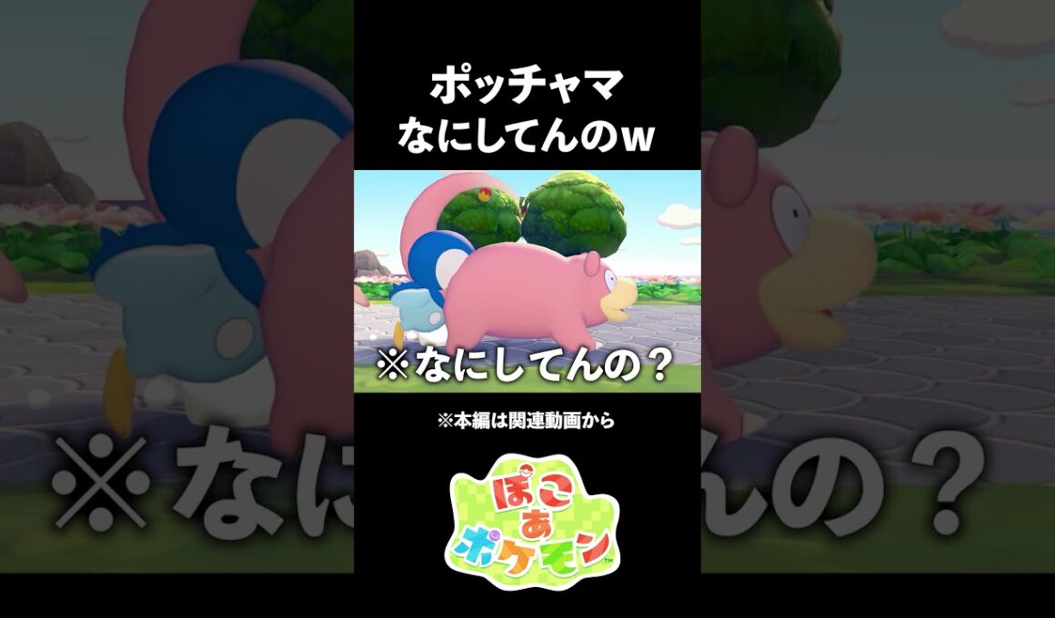 ポケモンレースしたらポッチャマ暴走w【ぽこあポケモン】