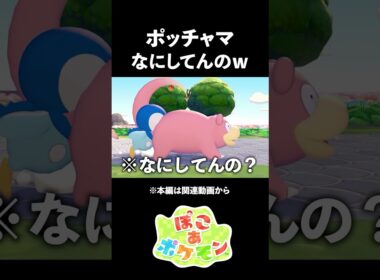 ポケモンレースしたらポッチャマ暴走w【ぽこあポケモン】