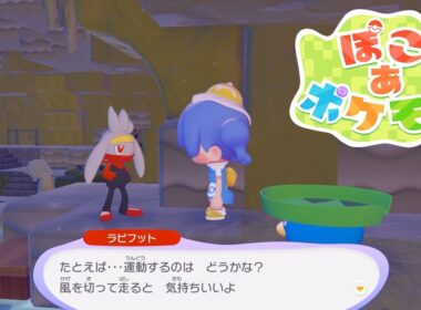 【ぽこあポケモン】ラビフットとハスボーの特殊会話【ぽこポケ/Switch2】