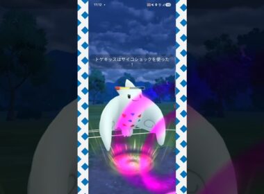 #親子対決を制するのはどっち！#ポケモンgo #トゲキッス#トゲチック