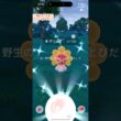 【難易度低】色違いたいようのすがたポワルン極小サークルクリティカルゲット【ポケモンGO】