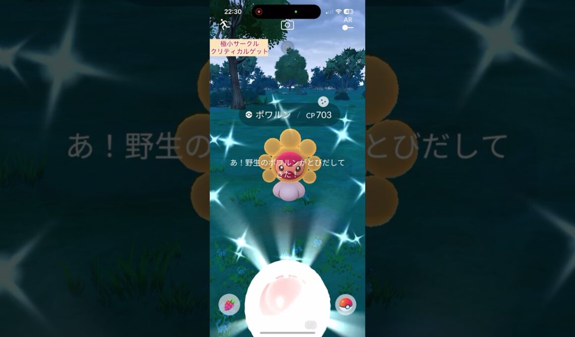 【難易度低】色違いたいようのすがたポワルン極小サークルクリティカルゲット【ポケモンGO】