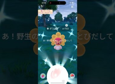 【難易度低】色違いたいようのすがたポワルン極小サークルクリティカルゲット【ポケモンGO】