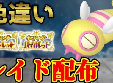 【今週は早かった】 色ノコッチ 色レイド配布 shiny raid 【ポケモンSV】#参加型配信