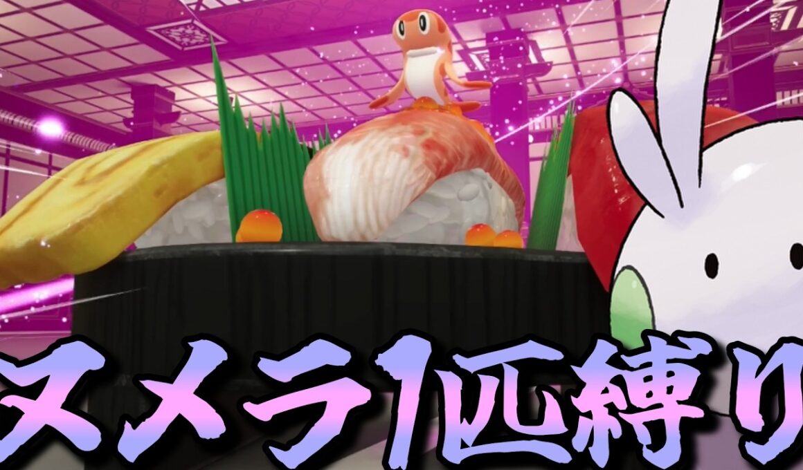 【ポケモンZA】M次元ラッシュをヌメラ１匹でクリアしてみる【ポケモン】【ポケモンレジェンズZA】【M次元ラッシュ】【Switch2】#5