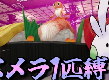 【ポケモンZA】M次元ラッシュをヌメラ１匹でクリアしてみる【ポケモン】【ポケモンレジェンズZA】【M次元ラッシュ】【Switch2】#5