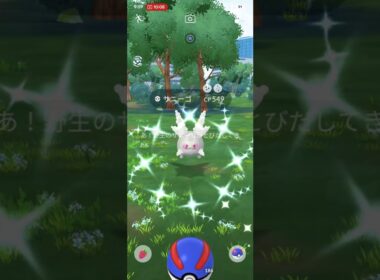 ガラルサニーゴ色違い #pokemongo #ポケモンgo