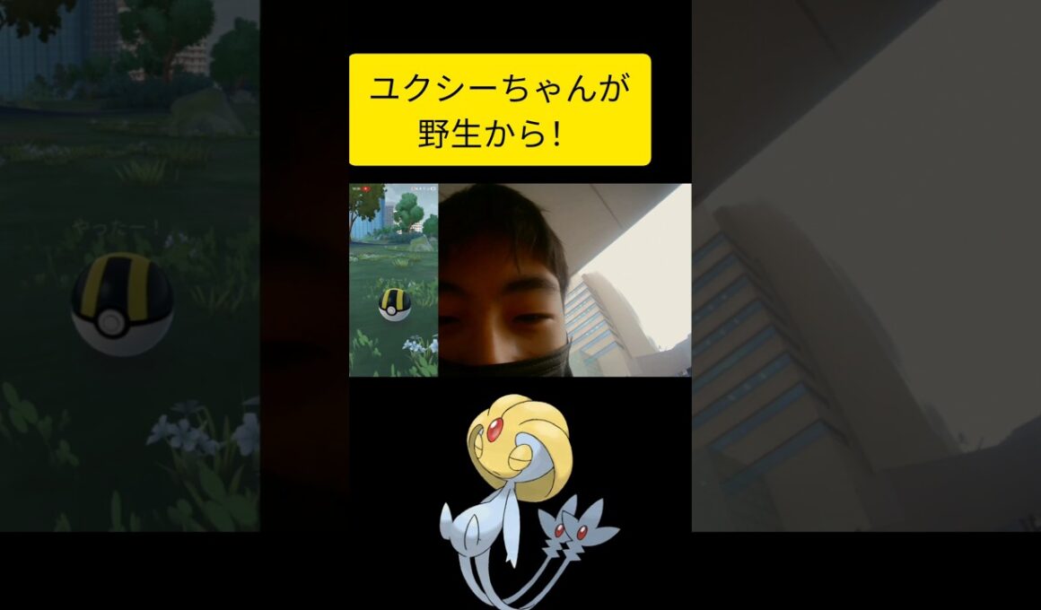 野生ユクシーちゃんが可愛すぎる！