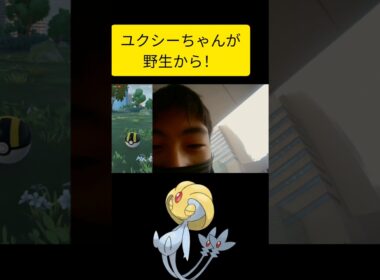 野生ユクシーちゃんが可愛すぎる！