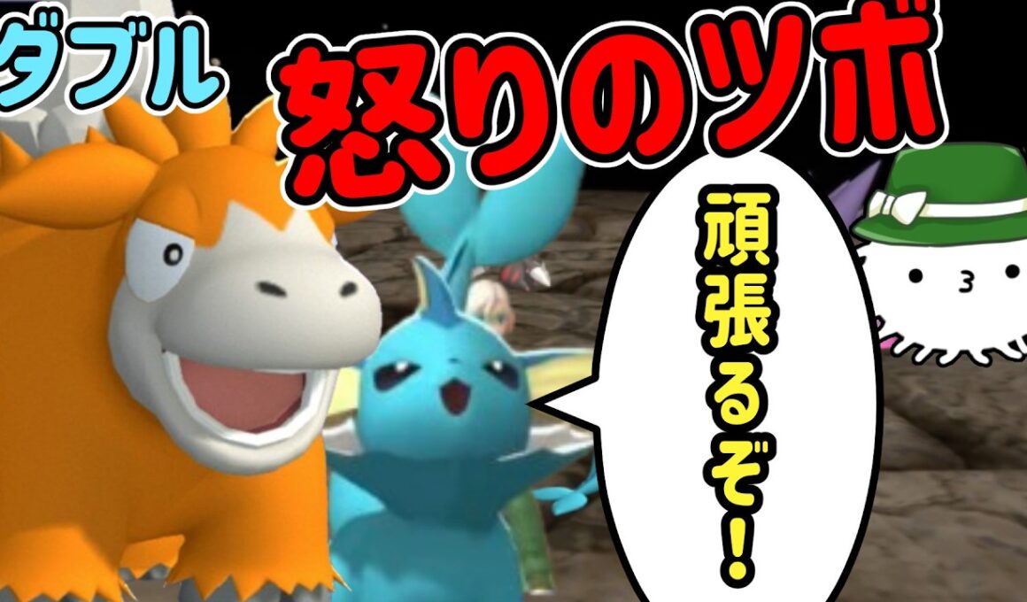 シャワーズが頑張る怒りのツボパーティ！【カジュアルダブル】