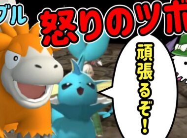 シャワーズが頑張る怒りのツボパーティ！【カジュアルダブル】