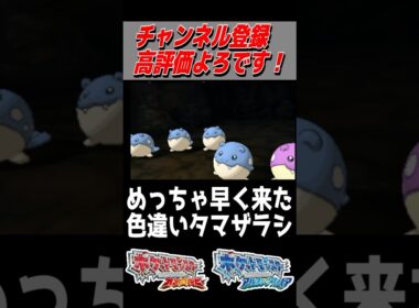 嫌いな人は居ないはず色違いタマザラシ！【ポケモンORAS】#色違い #色違い厳選 #oras