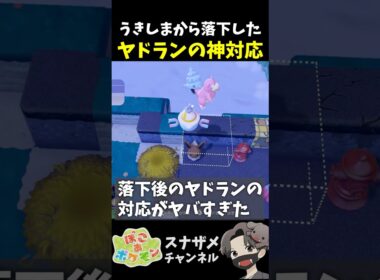 うきしまから落下した後のヤドランの神対応が凄い【ぽこあポケモン ぽこポケ 初心者向け攻略】 #shorts #ゲーム実況