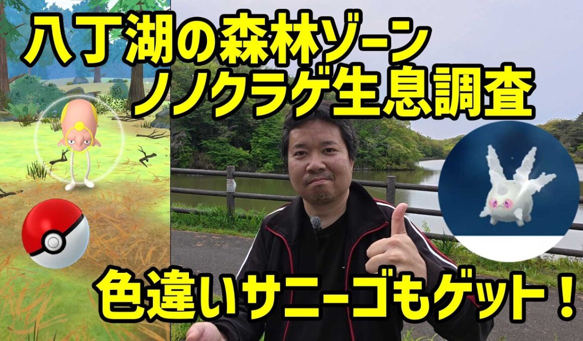【ポケモンGO】八丁湖森林ゾーンのノノクラゲ生息調査＆色違いサニーゴ、個体値MAXノノクラゲゲット