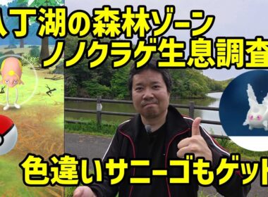 【ポケモンGO】八丁湖森林ゾーンのノノクラゲ生息調査＆色違いサニーゴ、個体値MAXノノクラゲゲット