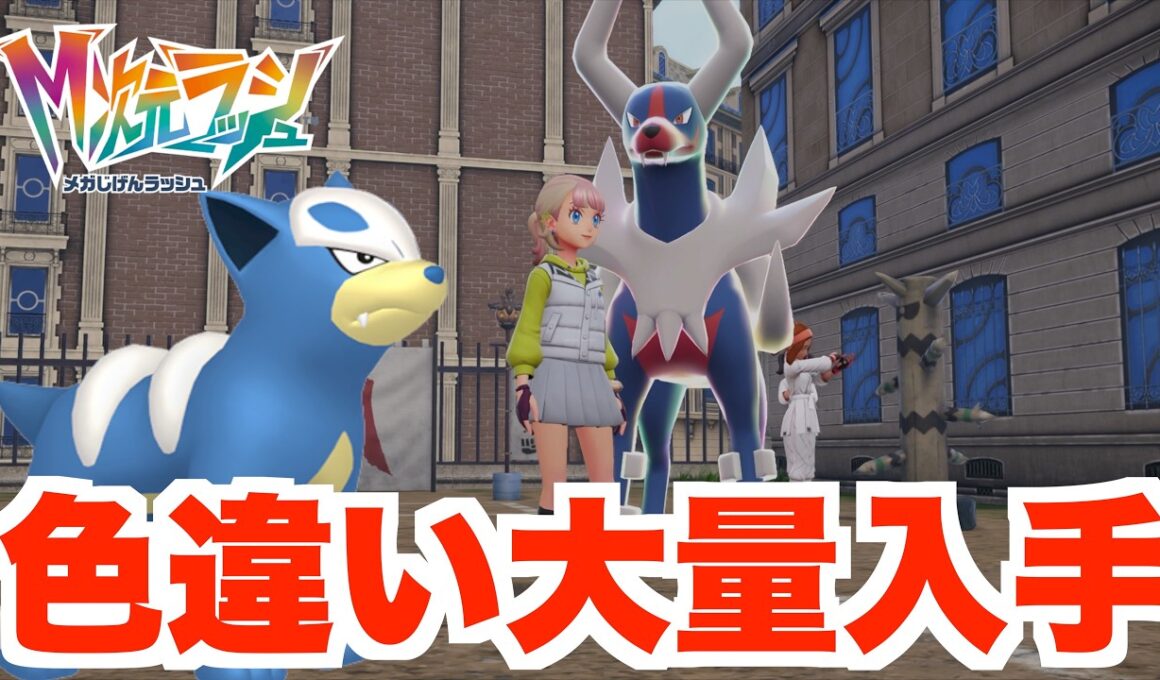 【ポケモンZA】色違いヘルガーついに入手！色違いメガシンカももうすこし？【DLC「M次元ラッシュ」】