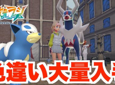 【ポケモンZA】色違いヘルガーついに入手！色違いメガシンカももうすこし？【DLC「M次元ラッシュ」】