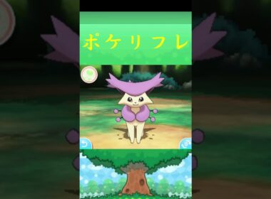 エネコロロ*ポケモン ポケリフレ ポケパルレ #ポケモン #Pokemon  #3DS #nintendoswitch #ポケモンsv #ポケモン #キャンプ #サンドイッチ #ピクニック