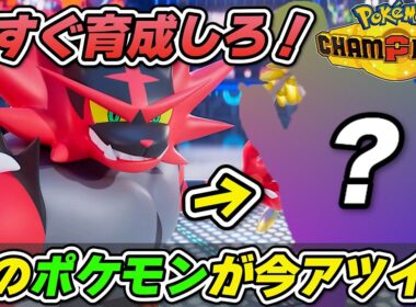 【最強の相方】※あのポケモンさえ育成しておけば誰もが勝ちやすくなります【ポケモンチャンピオンズ】
