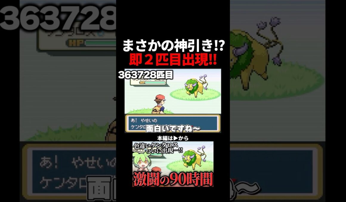 まさかの神引き…！？2匹目の色違いケンタロスでたぞ！！ #ポケモンfrlg #ポケモン #色違い