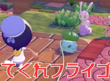 1000回「fly」できればフライゴン来る説【ぽこ あ ポケモン】