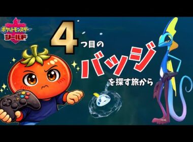 【ポケモン剣盾】メソメソしなくなったメッソンと冒険｜3日目