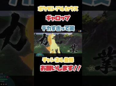 ポケモンアルセウス　序盤に手に入るギャロップがカッコ良すぎる
