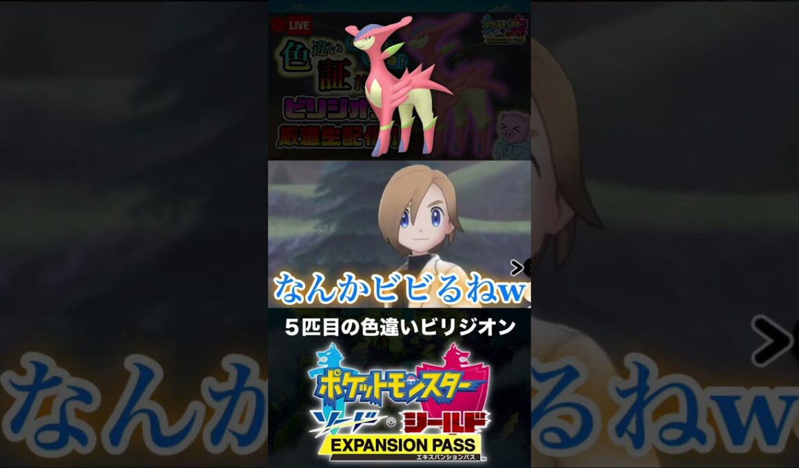 ５匹目の色違いビリジオンと邂逅した男【ポケモン剣盾】