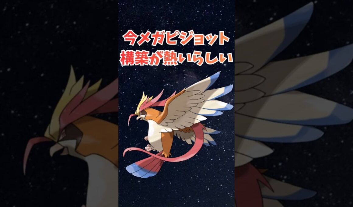 今メガピジョット構築が熱いらしい