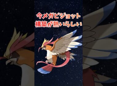 今メガピジョット構築が熱いらしい