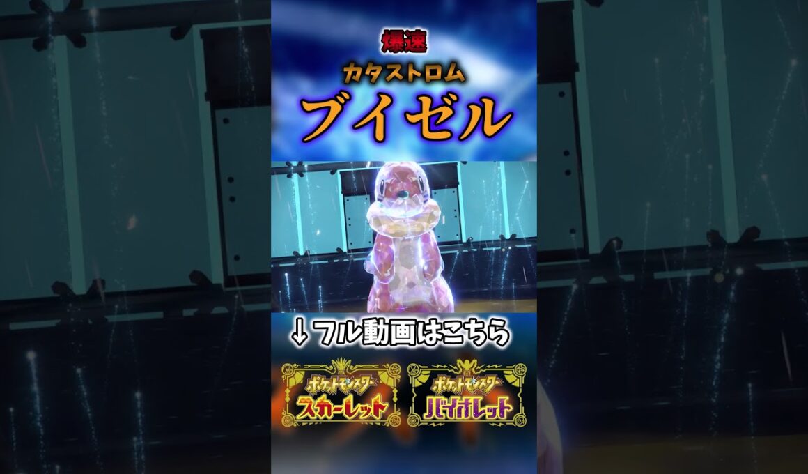 ブイゼル「心の味噌汁」