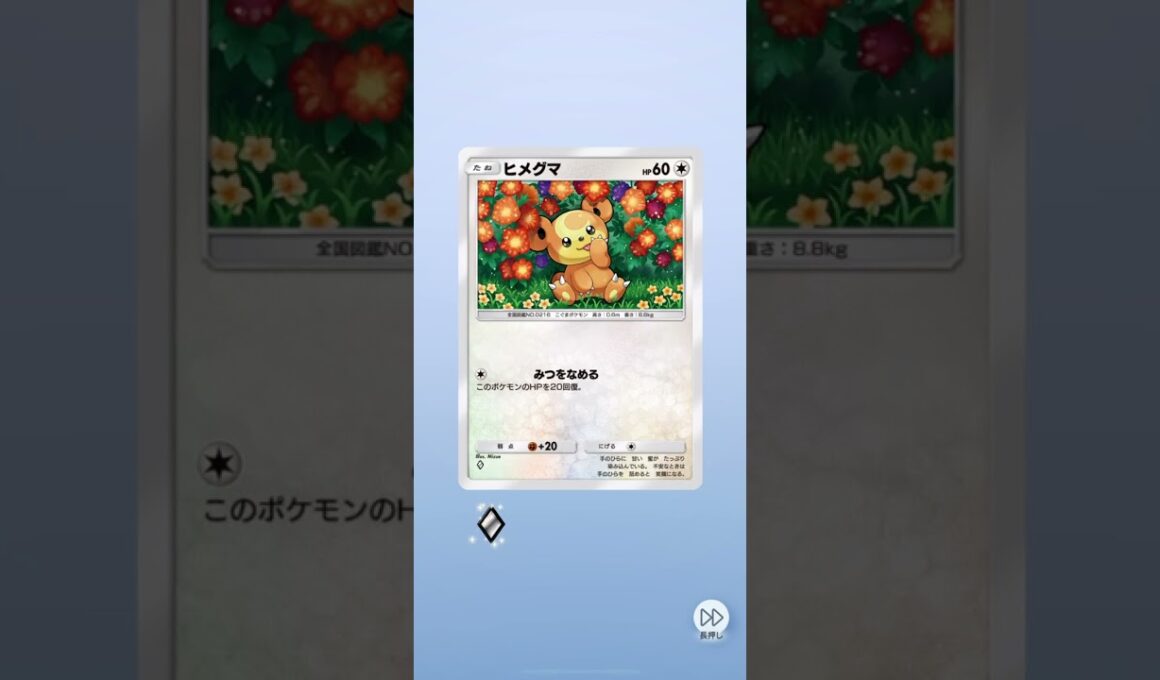 【空と海の導き】ヒメグマ2連続で出てくるの可愛い#shorts #ポケポケ