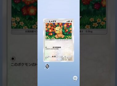 【空と海の導き】ヒメグマ2連続で出てくるの可愛い#shorts #ポケポケ