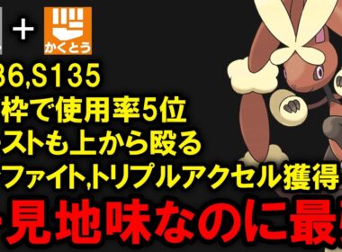 一見地味なのに大活躍しているメガミミロップはなぜ最強なのか？