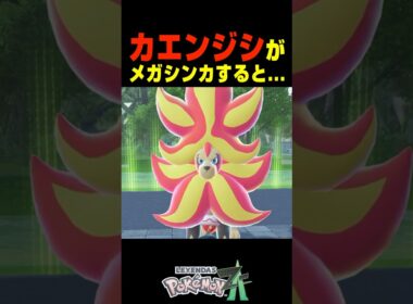 カエンジシがメガシンカすると....【ポケモンZA】小ネタ 検証 隠し要素