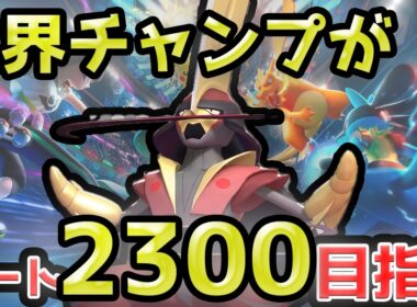 ドドゲイトウオオニューラ　Tier1認定【ポケモンチャンピオンズ】【ダブルバトル】