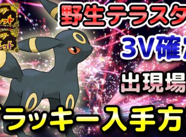 【ポケモンSV】ブラッキー（野生テラスタル）入手方法！固定シンボル出現場所！3V確定で育成しやすい！【スカーレット・バイオレット】