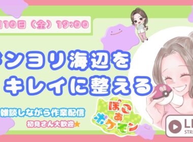 【ぽこあポケモン】プラスル、マイナンのお家作り