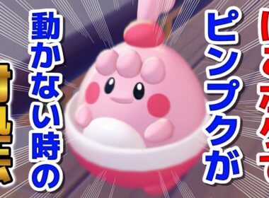 これ困ってるの私だけ！？ピンプクの連れ歩きが出来ない！【ぽこ あ ポケモン】