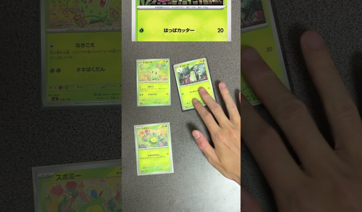 2種類のチコリータの違いを説明する奴【ポケモンカード】