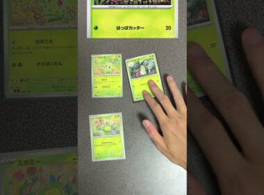 2種類のチコリータの違いを説明する奴【ポケモンカード】